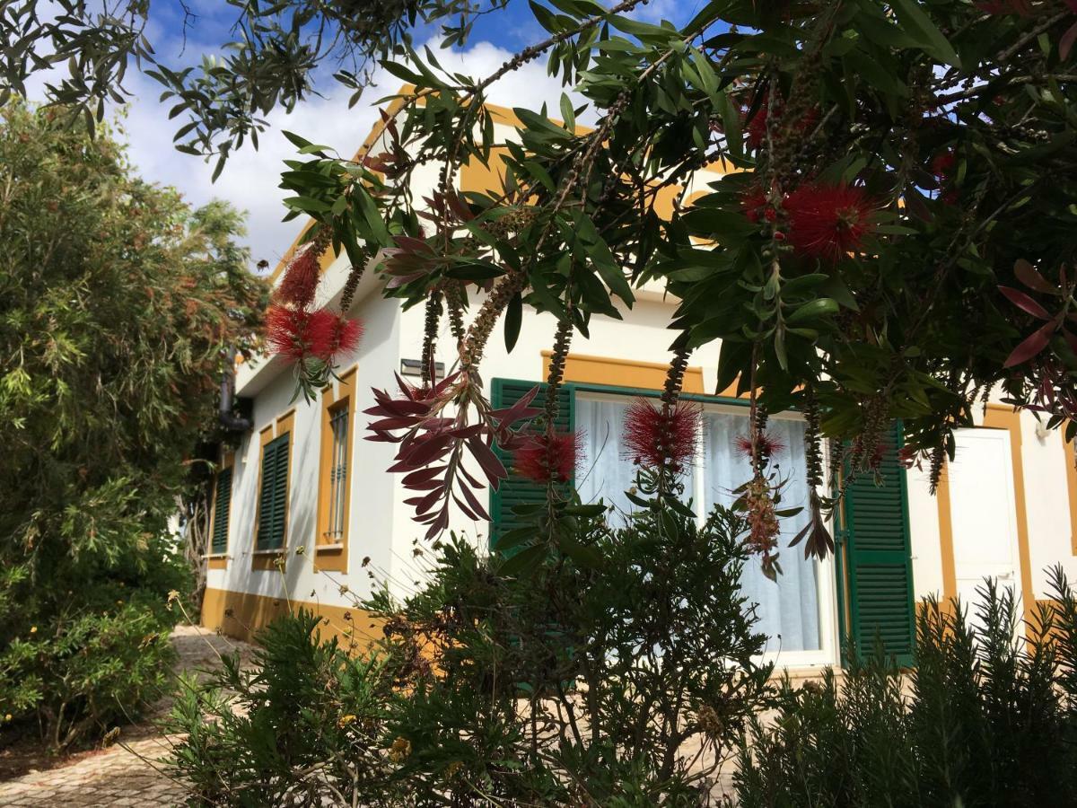 Casa Guerreiro Daire Lagos Dış mekan fotoğraf