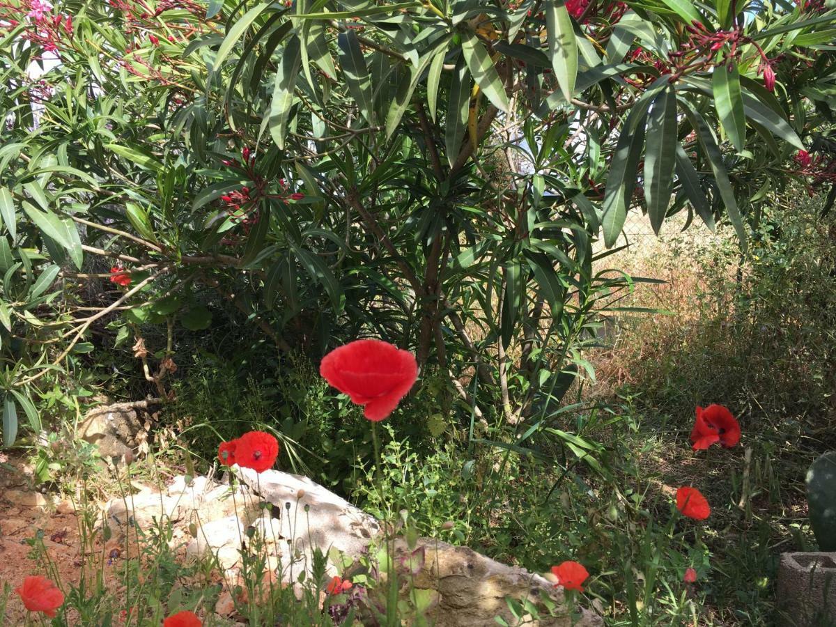 Casa Guerreiro Daire Lagos Dış mekan fotoğraf